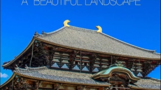 Thumbnail of post image 034