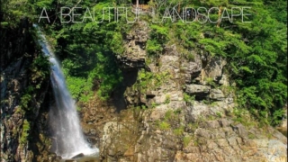 Thumbnail of post image 139