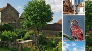 Thumbnail of post image 035
