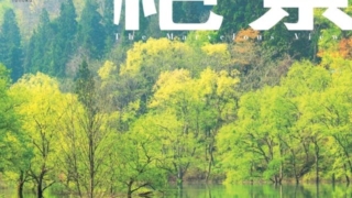 Thumbnail of post image 000
