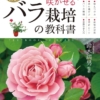 Thumbnail of new posts 057