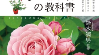 Thumbnail of post image 128