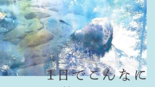 Thumbnail of post image 175