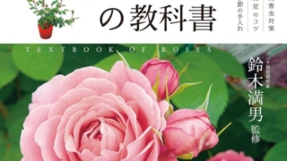 Thumbnail of post image 087