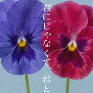 Thumbnail of new posts 074