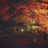 Thumbnail of new posts 164