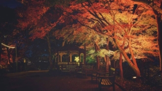 Thumbnail of post image 146